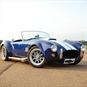 Icons Driving Experience - Dark Blue Cobra